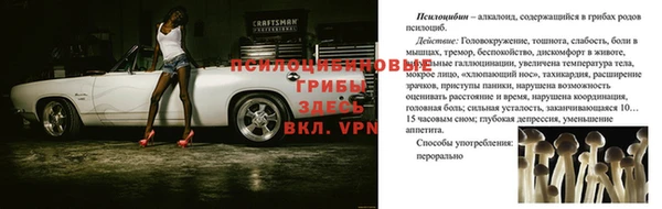 гидропоника Балабаново