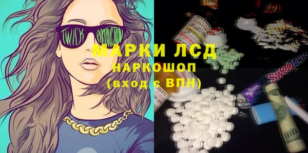 PSILOCYBIN Аркадак