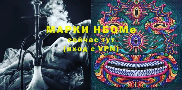 PSILOCYBIN Аркадак