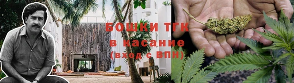 ALPHA PVP Баксан