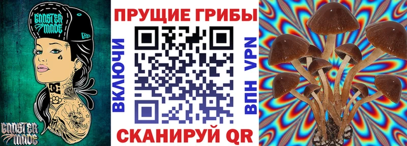 Галлюциногенные грибы мухоморы  Буинск 
